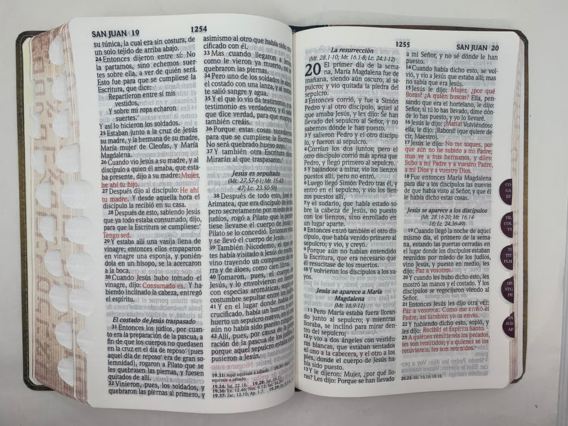 Biblia letra grande manual reina valera  1960 diseno tela libros en Hebreo y griego índice