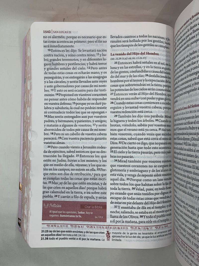 Biblia de Estudio Ser Mujer Letra Grande 12 PUNTOS  REINA VALERA 1960 FLORES INDICE
