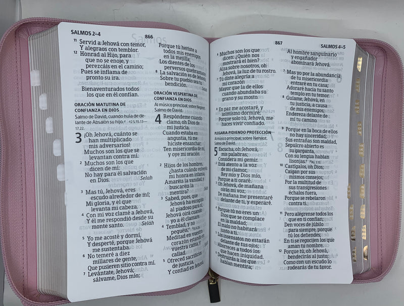 Bíblia para mujer letra gigante manual 14 punto Reina valera 1960 rosa flores índice