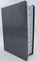 Biblia NTV letra gigante tamaño manual gris con índice