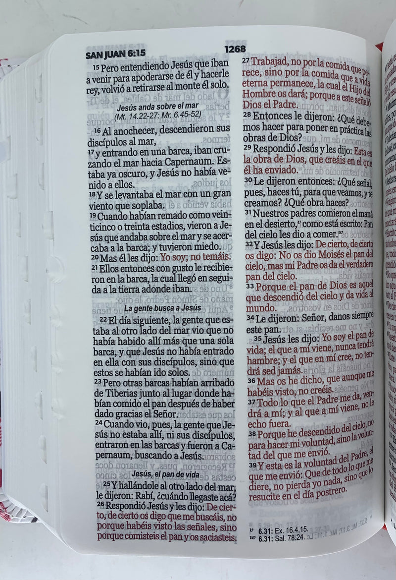 Biblia para jóvenes tamaño bolsillo Reina Valera 1960 piel imitación  palabras de vida índice 8.5 puntos
