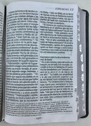 Biblia NTV letra gigante tamaño manual gris con índice