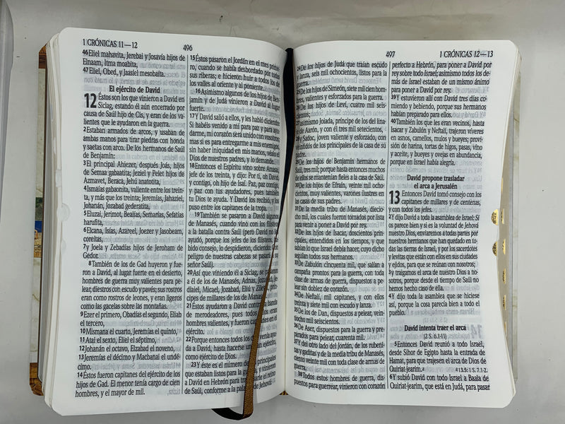 Biblia con Enciclopedia Biblica Ilustrada Letra Grande con Indice, Reina Valera 1960