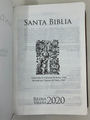 Bíblia letra grande riena Valera 2020 piel 12 puntos tricolor cafe