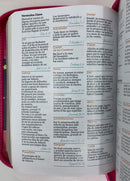 Biblia para jovencitas tamaño bolsillo rv1960 fucsia Lilia búho 8 puntos