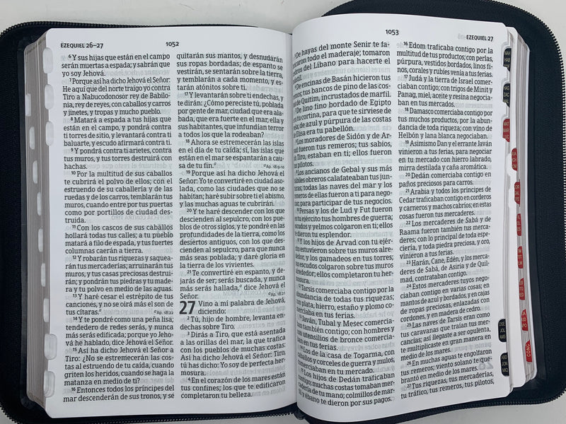 Biblia Letra Grande 12 Puntos Tamaño Manual RVR, 1960 semilpiel,Negro Indice edicion limitada