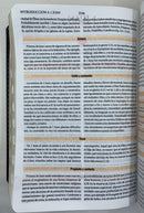 Bíblia de estudio teológico tamaño manual rv1960 piel fabricada indicie