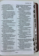 Biblia NTV letra gigante tamaño manual cafe con índice