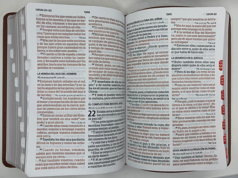 Biblia para jóvenes Letra grande 12 puntos rv1960 terracota SIMILPIEL  con índice