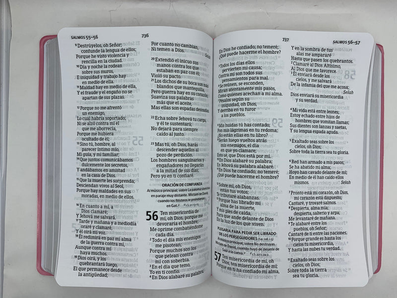Biblia para regalos letra grande reina Valera rosa vinilo 12 puntos