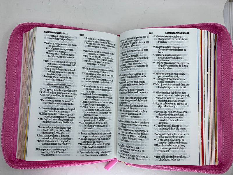 Biblia para niñas letra grande rv1960 mi gran viaje rosa coronas