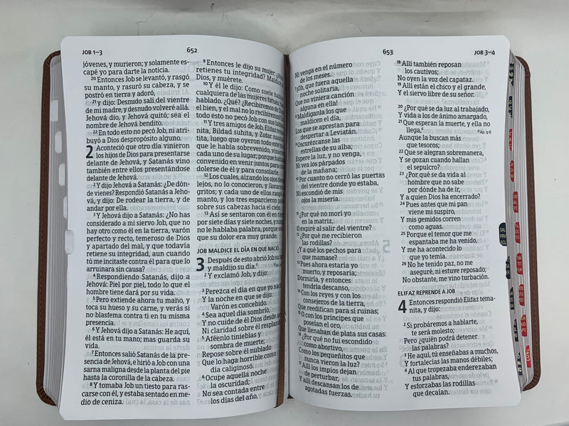 Biblia para jóvenes Letra grande 12 puntos rv1960 terracota SIMILPIEL  con índice