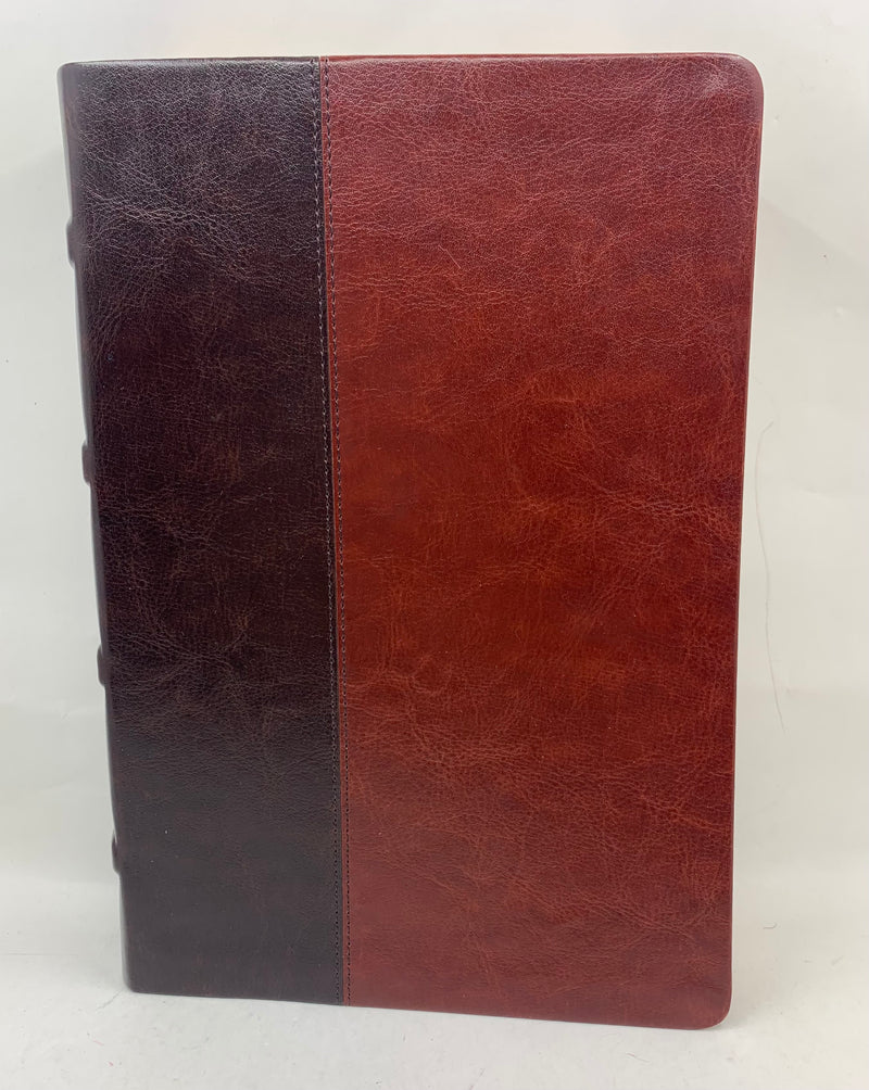 Biblia RVR 1960 Biblia de Estudio Dake, Tamaño Grande, Piel Duotono Marrón indice