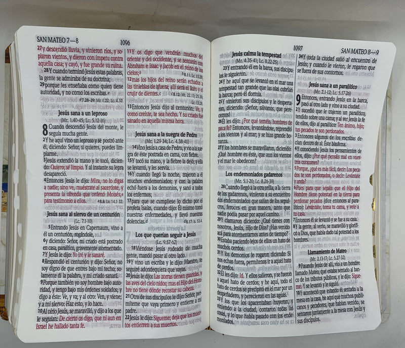 Biblia con Enciclopedia Biblica Ilustrada Letra Grande con Indice, Reina Valera 1960