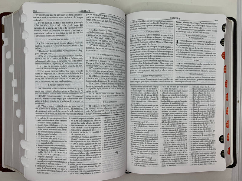Biblia RVR 1960 Biblia de Estudio Dake, Tamaño Grande, Piel Duotono Marrón indice