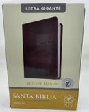 Biblia NTV letra gigante tamaño manual gris con índice