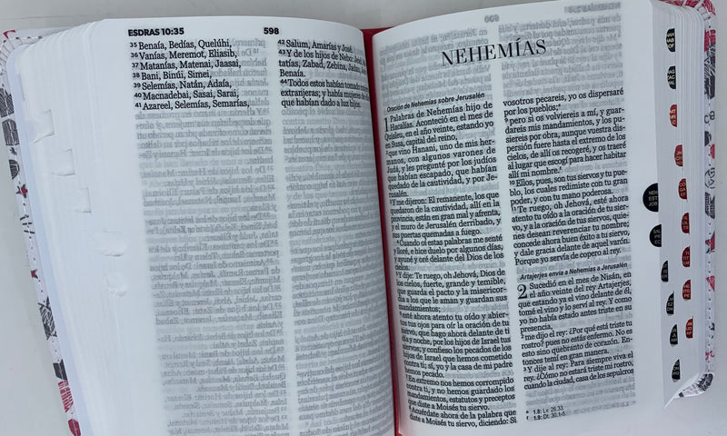 Biblia para jóvenes tamaño bolsillo Reina Valera 1960 piel imitación  palabras de vida índice 8.5 puntos