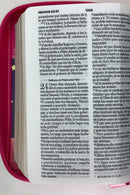 Biblia para jovencitas tamaño bolsillo rv1960 fucsia Lilia búho 8 puntos