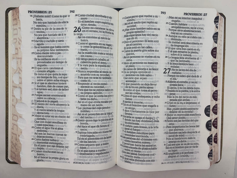 Biblia letra grande manual reina valera  1960 diseno tela libros en Hebreo y griego índice