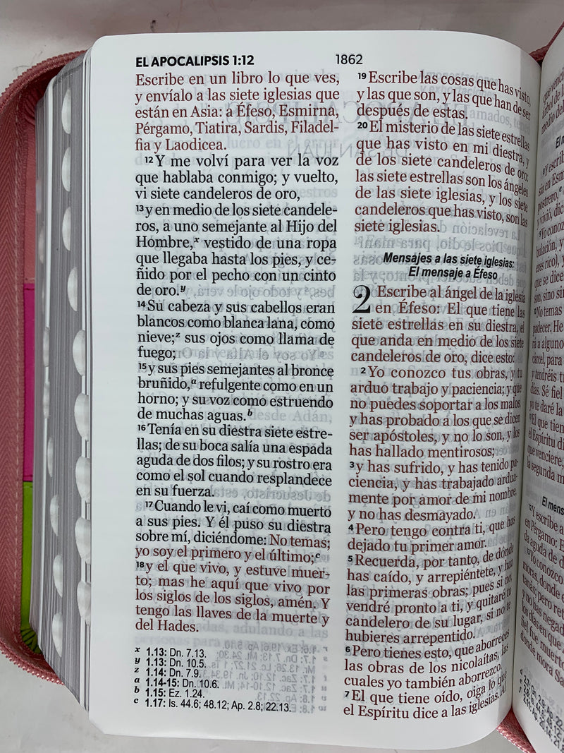 Biblia con Cierre Compacta 11 puntos RV1960 imit tricolor rosa/fucsia/lima con índice