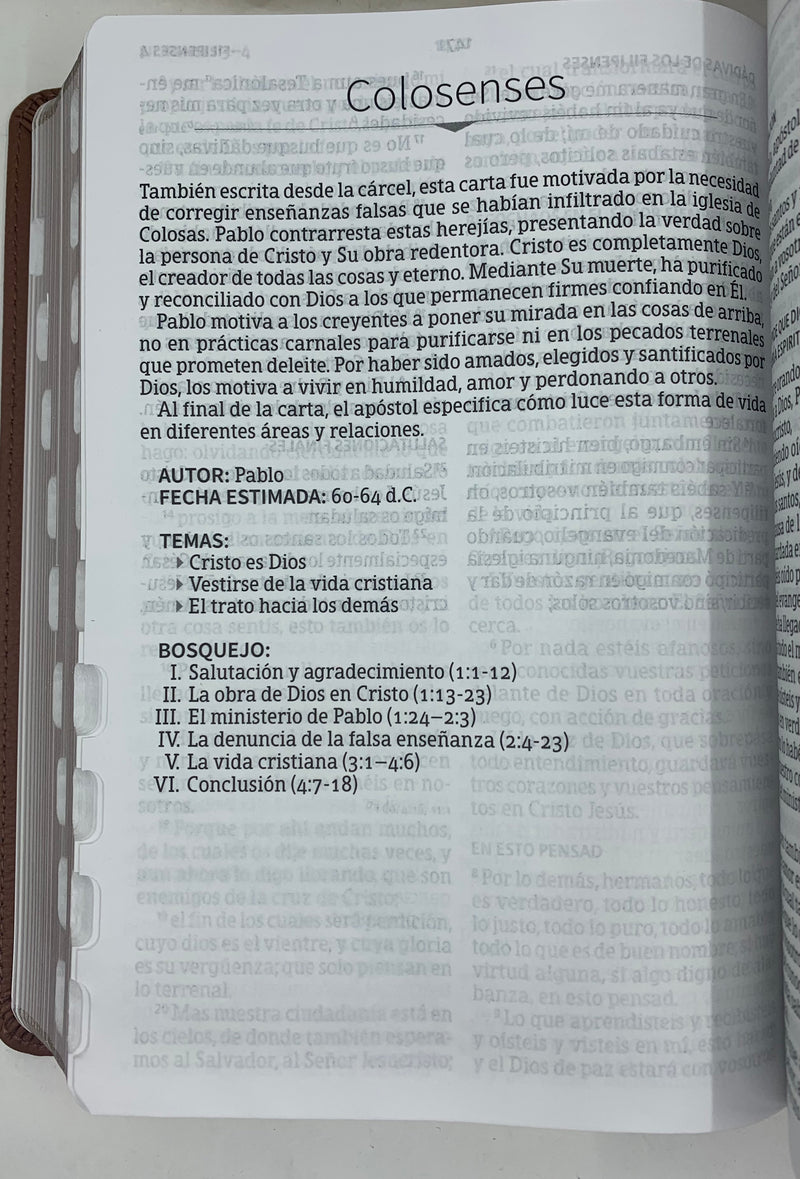 Biblia para jóvenes Letra grande 12 puntos rv1960 terracota SIMILPIEL  con índice