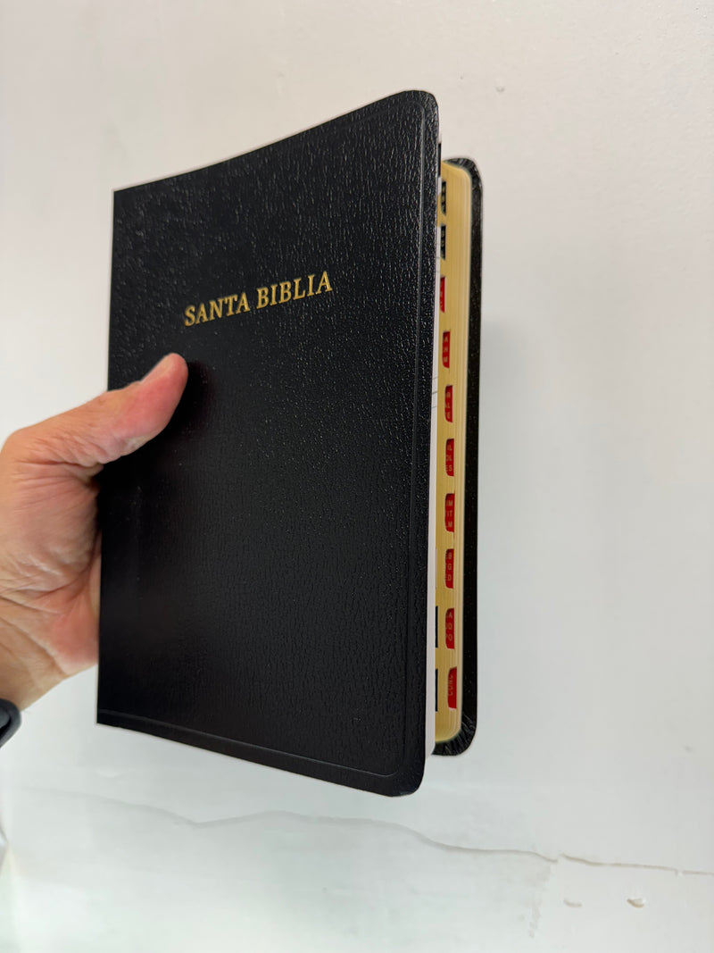 Biblia letra RV1960 tamaño manual negro piel imitación con indice