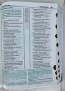 Bíblia de estudio esquematizada riena Valera 1960 piel imitacion con  indcie