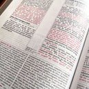Biblia de Estudio de la Vida Plena RV1960, imit piel marrón