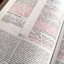 Biblia de Estudio de la Vida Plena Actualizada Reina valera 1960, piel  imitacion negro