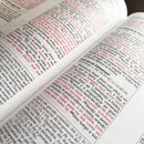 Biblia de Estudio de la Vida Plena RV1960, imit piel marrón