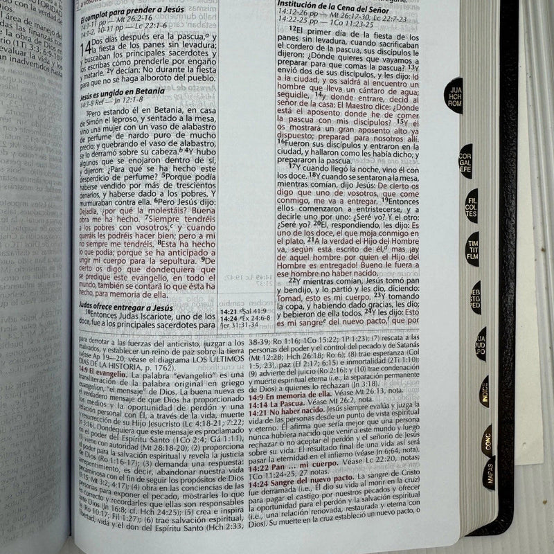Biblia de Estudio - Vida Plena Actualizada y Ampliada  R V 1960 PIEL FABRICADA NEGRO INDICE