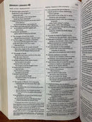 Bilingual Bible / Biblia bilingüe NLT/NTV (iMITACION DE PIEL CAFE