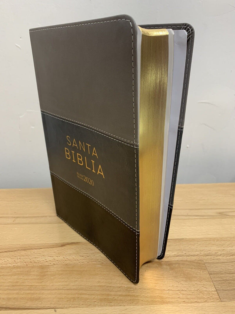 Biblia letra grande Reina valera 2020 PIEL IMITACION GRIS 12 puntos