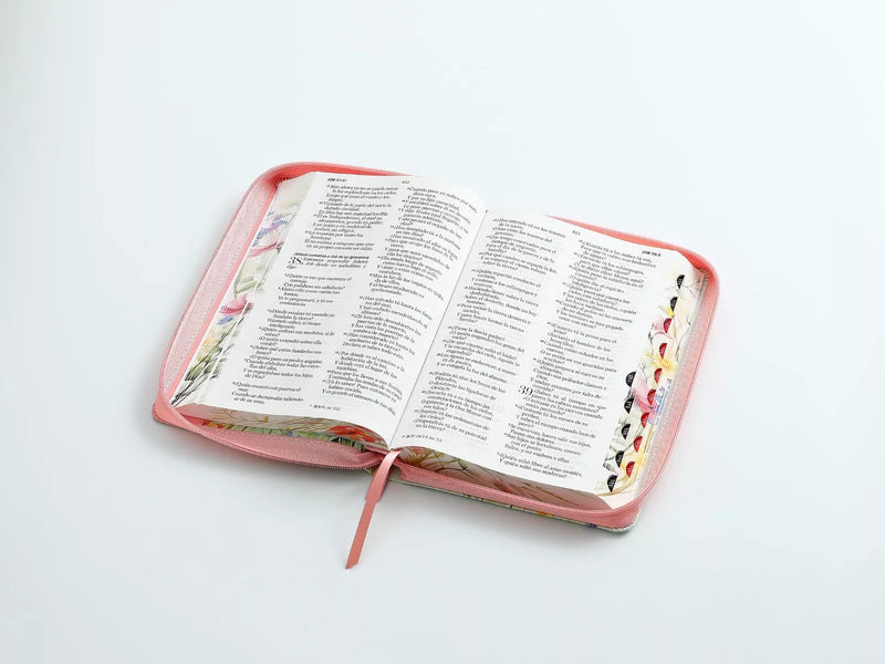 Biblia Letra Grande 12 para mujer Rv1960 cierre indice coral canto pintado