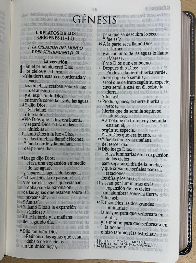 Biblia letra grande Reina valera 2020 PIEL IMITACION GRIS 12 puntos