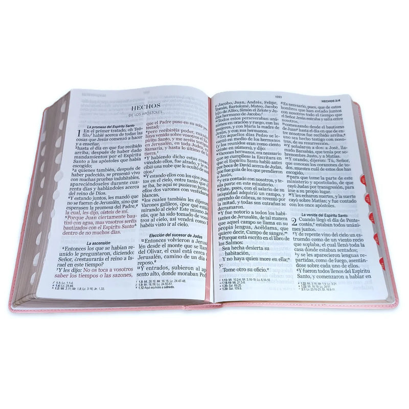 Biblia Letra Súper Gigante 19 puntos RV1960 imit piel rosado con indice