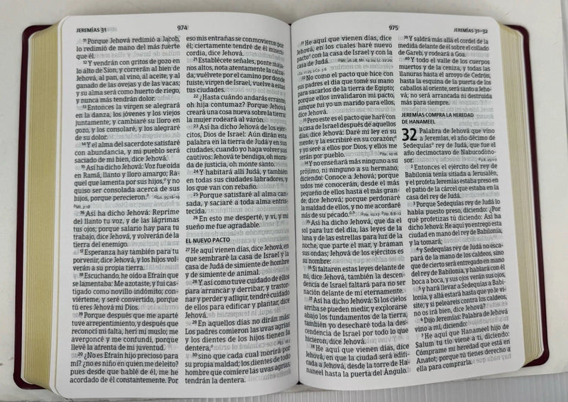 Biblia Letra Grande 12 Puntos RVR.1960 Tamaño Manual Vinil Color Borgoña