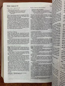 Bilingual Bible / Biblia bilingüe NLT/NTV (iMITACION DE PIEL CAFE