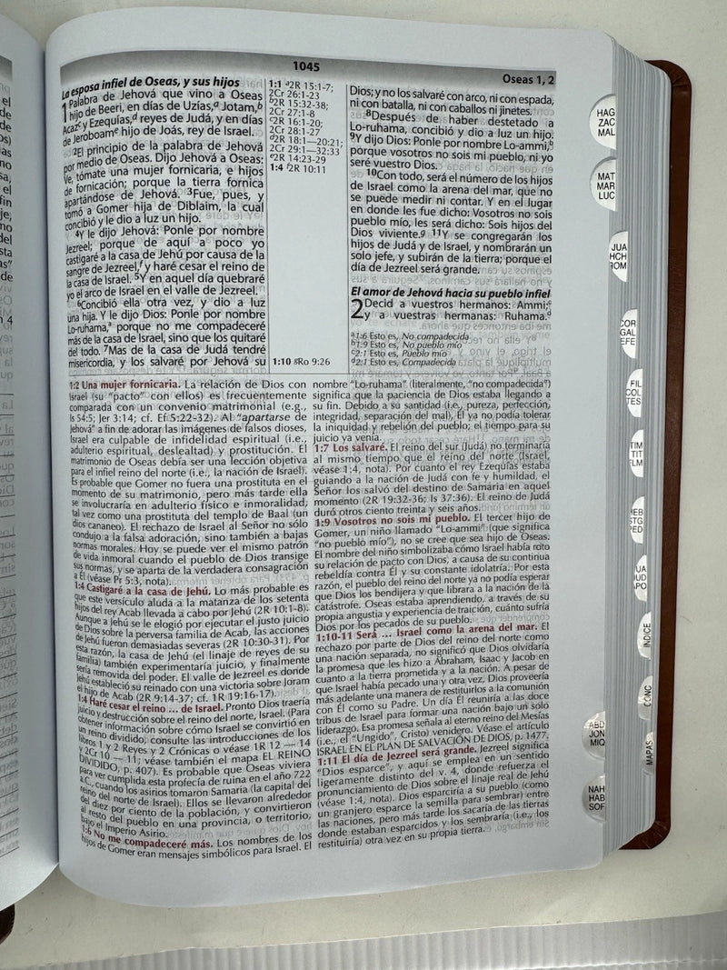 Biblia de Estudio - Vida Plena Actualizada y Ampliada  R V 1960 PIEL FABRICADA NEGRO INDICE