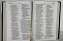NBLA, Biblia para la lectura pública, Versificada, Letra gigante, Piel de cabra, Verde: Para quienes se deleitan en compartir Su Palabra