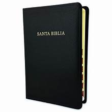 Biblia letra RV1960 tamaño manual negro piel imitación con indice