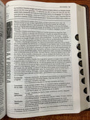 Bíblia diario vivir letra grande reina Valera 1960 sentipiel café 11 puntos con indice