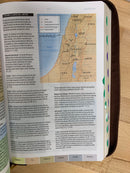 Bíblia de estudio arcoíris Reina Valera1960 con cierre piel fabricada  cafe índice