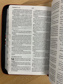 Bíblia de letra grande tamaño manual riena v.1960 con referencias cierre índice 12 puntos