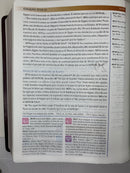 Bíblia de estudio del mundo hispano Piel europea café