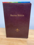 Bíblia de estudio arcoíris Reina Valera 1960 chocolate cierre índice semipiel