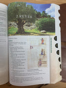 Bíblia de estudio tras las huellas del mesías reina Valera 1960 marrón con índice