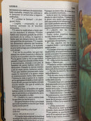 Bíblia para niños luz en mi camino Nvi semipiel cohetes