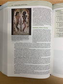 Bíblia de teología bíblica Nvi Piel Reciclada, Negro, Interior a cuatro colores D. A. CARSON