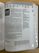 Bíblia de estudio diario vivir Reina  Valera 1960 con índice semipiel negro envio gartis